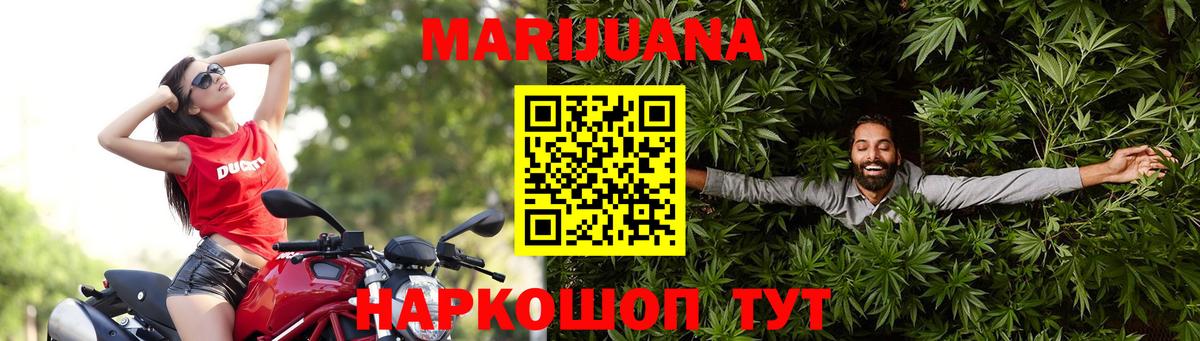 Каннабис конопля Щёкино